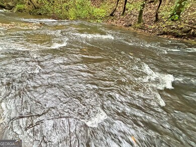 571 Jones Creek Rd, Ellijay, GA 30540 - photo 5