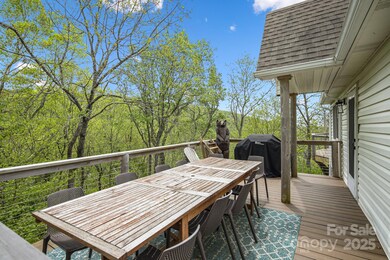 114 Spruce Hollow Rd, Beech Mountain, NC 28604 - photo 6