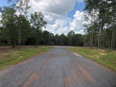 5.90ac Mill Creek Ln, Lucedale, MS 39452 - photo 3