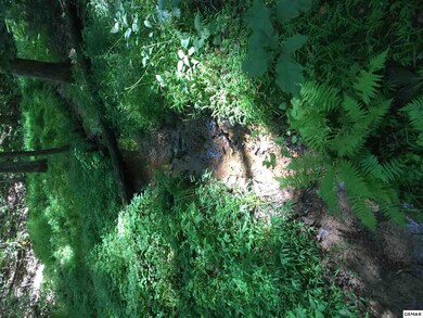 Additional View 9
