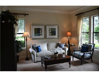 15908 Oakleaf Run Dr, Lithia, FL 33547 - photo 5