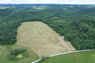 DJI_0003