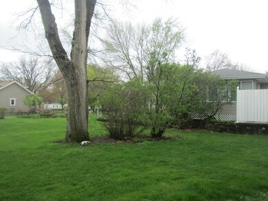 Backyard - View 2