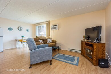 255 S West Ave unit 202, Elmhurst, IL 60126 - photo 3