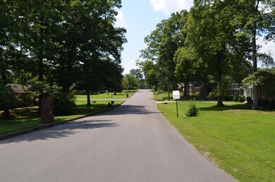 view down the street