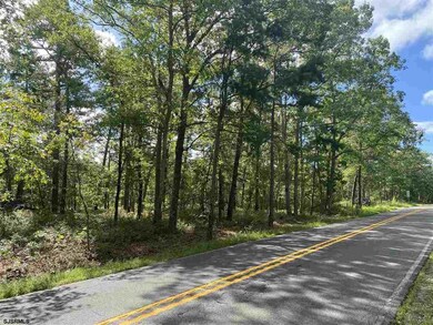 1100 Grand Ave, Hamilton Township, NJ 08330 - photo 6