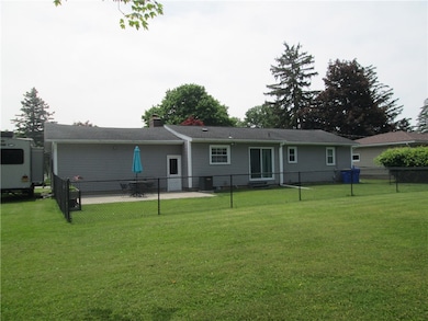 View of the back yard