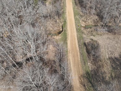 DJI_20250303112948_0001_V