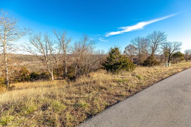 0 Mark Twain Dr, Saddlebrooke, MO 65630 - photo 4