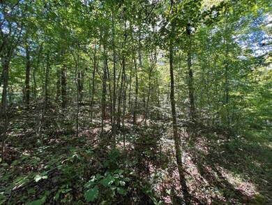 000 Long Rd, Reidsville, NC 27320 - photo 5