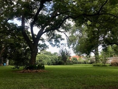 Backyard in Summer 3