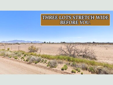 Sunshine Lun unit a New Mexico, Sunshine, NM 88030 - photo 4