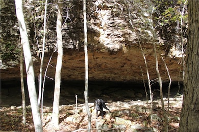 0 Cr 935 unit 1329173, Berryville, AR 72616 - photo 2