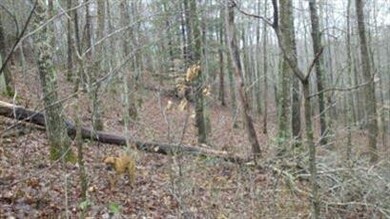 2614 Providence Rd, Somerset, KY 42501 - photo 4