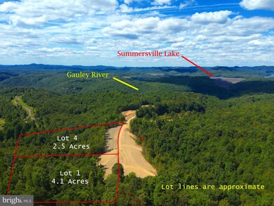 Lot 2 Ridge Rd, Mount Nebo, WV 26679 - photo 7