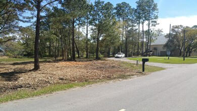 000 Fernwood Dr, Pass Christian, MS 39571 - photo 6