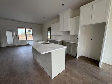 229 Michelle Dr, Beebe, AR 72012 - photo 4