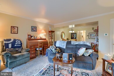 44 Ashlea Village, New Holland, PA 17557 - photo 7