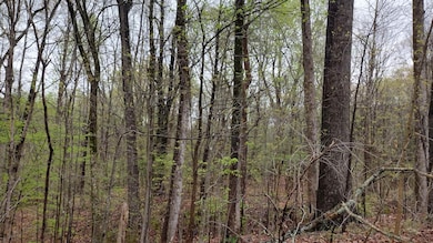 00 N Royal St, Jackson, TN 38301 - photo 3