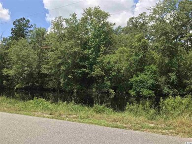 Lot 3 Chow Ln, Conway, SC 29526 - photo 5