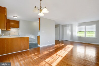 14319 Heavenly Acres Ridge, Hancock, MD 21750 - photo 5