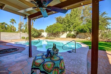 Resort-style Backyard!