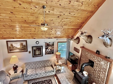 16121 130th Ave, Le Roy, MI 49655 - photo 6