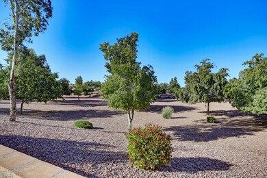 Yovin-13640-West-Sola-Drive-31 (8)