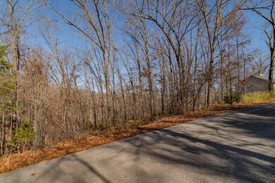 Lot #1 Raven Oak Dr, Kimberling City, MO 65686 - photo 7