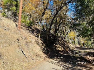Steep Terrain at bottom of property