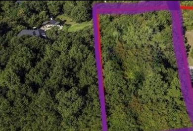 8524 Crown Lake Ct, Montgomery, TX 77316 - photo 3