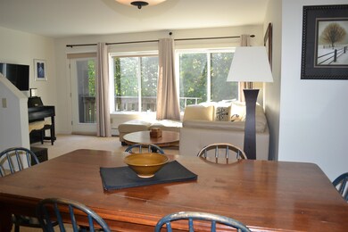 206 Stoney Path Rd unit 605, Jay, VT 05859 - photo 7