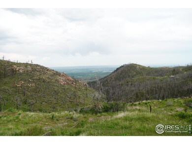 248 Saddle Ridge Rd, Bellvue, CO 80512 - photo 4