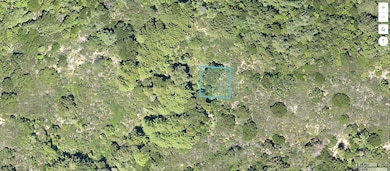 000 Lompico Rd, Felton, CA 95018 - photo 3