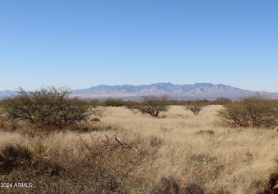 E268 E Tom Jeffords Dr unit LOT 68, Saint David, AZ 85630 - photo 6