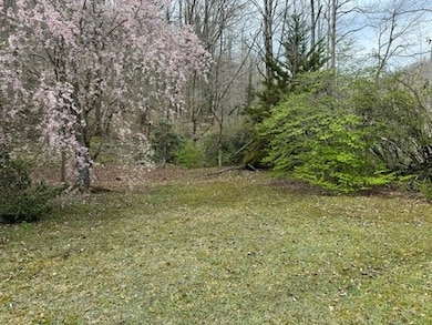 2794 E Fork Rd, Sylva, NC 28779 - photo 6