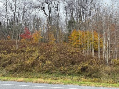 0 County Highway 10 unit R1653302, East Meredith, NY 13757 - photo 2