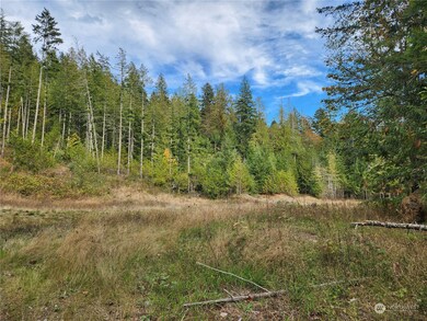 0 Rocky Brook Rd unit Lot K NWM2302643, Brinnon, WA 98320 - photo 3