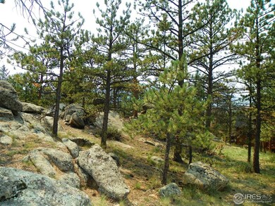 land around cabin