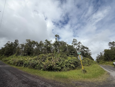 0 Apuakehau Rd unit 725837, Volcano, HI 96785 - photo 7