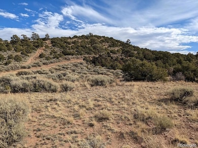 4389 Beekman Rd, Fort Garland, CO 81133 - photo 5