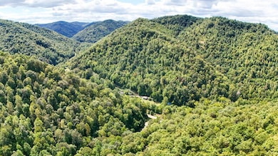 Daniel Boone Nat't Forrest