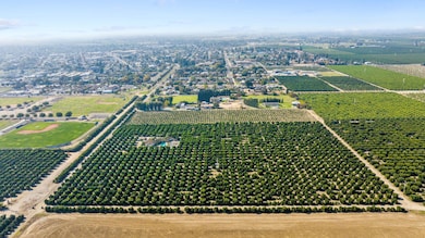 1435 E Palm Dr, Exeter, CA 93221 - photo 6