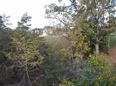 0 Bridgewater Blvd unit RTC3043077, Morristown, TN 37813 - photo 5