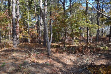 0 Columbian Ave unit 31292, Oak Bluffs, MA 02568 - photo 3