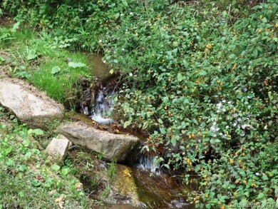 0 Little Creek Rd unit 3531341, Burnsville, NC 28714 - photo 2