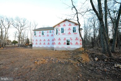 0 Lower View Rd unit 1000406655, Strasburg, VA 22657 - photo 2