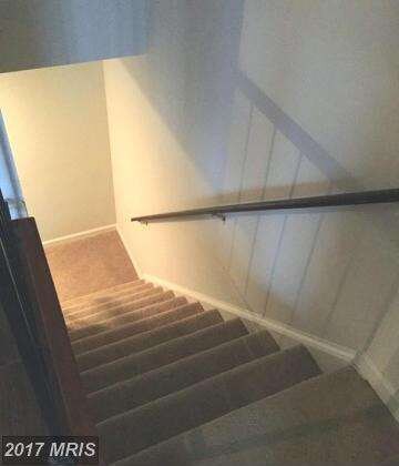 3518 Cherry Hill Ct, Beltsville, MD 20705 - photo 5