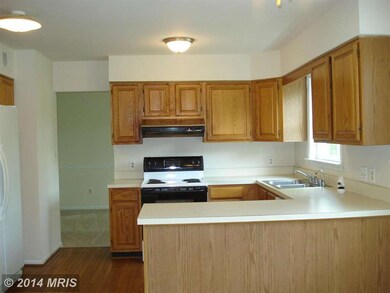 1213 E Randolph Rd, Silver Spring, MD 20904 - photo 5