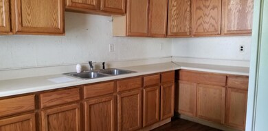 847 E Main St, Vanderbilt, MI 49795 - photo 2